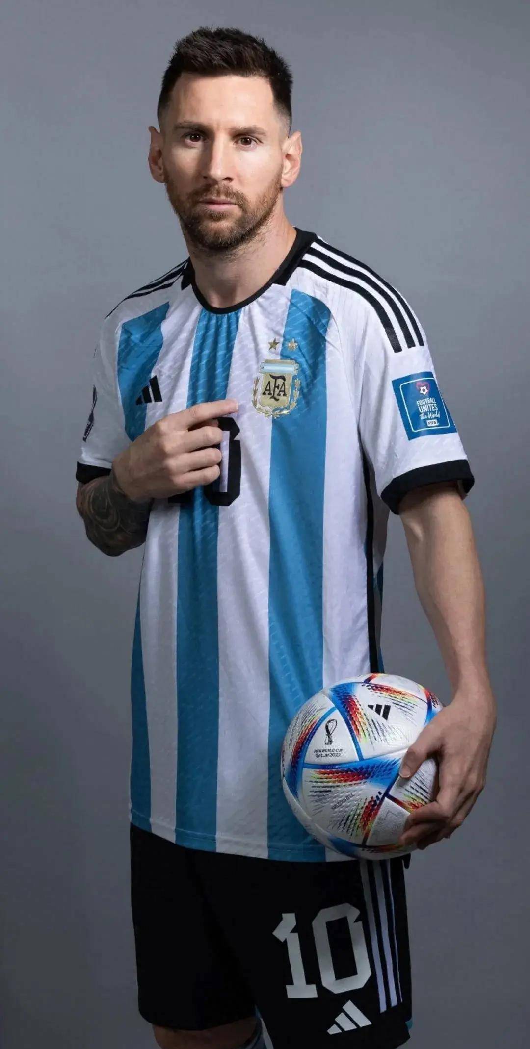 不仅揭示了 不仅揭示了